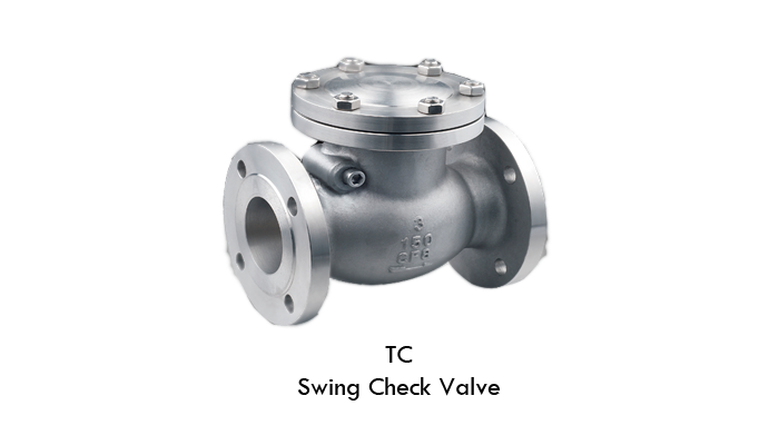 Check Valve