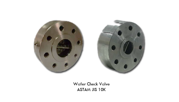 Check Valve