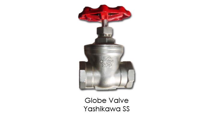 Globe Valve